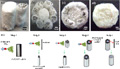 New Technique Produces Artificial Bone that Mimics the Structure of Natural Bone