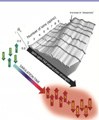 Quantum Ferromagnet Using a Nine Ion Crystal Observed by Researchers
