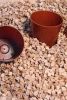 Scion Signs Licensing Deal to Commercialize Wood Plastic Pellet Technology in Europe