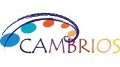 Cambrios Partners with Hitachi Chemical to Develop Transparent Conductive Film