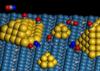 Research Study Reveals Details About Novel Catalysis Site