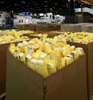 The Society of the Plastics Industry Appoints Maine Plastics as Official Recycler for NPE2012