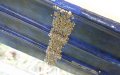 Environmentally Friendly Coating Prevents Biofouling