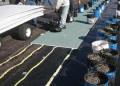 Garland Offers New Roof Insulation Adhesive