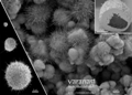 Bristles in Copper Particles May Help Manage Heat Flow