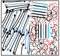Find Out How the Performance of Solar Cells Can be Affected by Polymer Processing