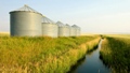 Rhodia and Cobalt Technologies Join Hands to Develop Biofuel Using Bagasse