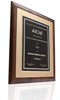 Eastman Presented AIChe Award for Eastman Tritan