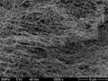 Novel Process for Producing Nanocellulose Powder for Bio-Nanocomposite Materials