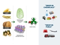 Efficient Fuel Mixture of Isobutanol-Gasoline from Gevo for Small Engines