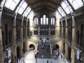 Renishaw Hosts Successful Raman Seminar at the Natural History Museum in London