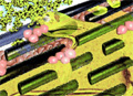 Glass Sponges Inspire Bone Repair Technology