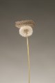 Researchers Create World's Lightest Material