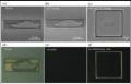 Carbon Nanotube Forest Conceals Three-Dimensional Objects