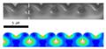 Researchers Study Nanofolds and Nanowrinkles Using Gold Nanogranular Film Sheets