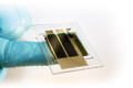 New Record Set for Organic Solar Cell Efficiency