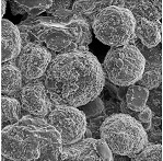 ASPEX Offer Failure Analysis Services for Biomedical Implants