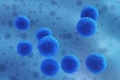 Scientists Use Superparamagnetic Iron Oxide Nanoparticles to Deliver Therapeutic Cells for Disease Treatment