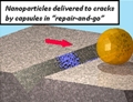 Scientists Develop Cost-Effective Materials Repair Technique