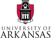 Research Team from University of Arkansas Studies Complex Oxide Interfaces