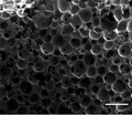 New Method for Controlled Production of Structured Foams
