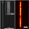Study on Gold Nanoparticles Helps Advance Optoelectronic Devices