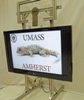 Novel Gecko-Inspired Adhesive Device Holds Large Weights on Smooth Surfaces