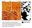 Scientists Discover New Type of Structural Anomaly in Quasicrystals