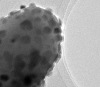 New Way to Produce Plastics Using Sustainable Raw Materials