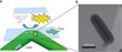 Study Reveals Understanding Surface Defects is Important to Design Better Fuel Cells
