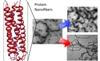 Researchers Develop Novel Technique for Producing Nanofibers from Proteins