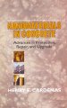 DEStech Release new Book on Nanomaterials in Concrete