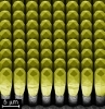ETH Zurich Team Develops New Method to Produce Semiconductor Structures