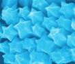 Nanostarfruits Produced for Surface-Enhanced Raman Spectroscopy Applications