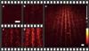 KIT Researchers Record Interference Pattern of Molecules in Real-Time