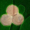 Researchers Synthesize Mesoporous Carbon Nanoparticles for Lithium-Sulfur Batteries