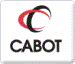 Cabot and Bluestar Complete Extension of New Fumed Silica Project in China