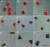 New Approach Paves Way to Develop Complex Materials
