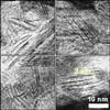 Researchers Develop High-Reactivity Electrocatalyst Using Low-Cost Materials
