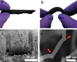 Researchers Synthesize Carbon Nanotube Sponge Capable of Cleaning Up Oil Spills
