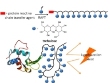 Polymers Can be Used to Stabilize Proteins