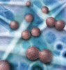 New Study Paves Way to Synthesis Unique Materials Using Oriented Attachment