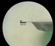 Nematicity May Help Understand High-Temperature Superconductivity