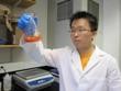 Selenium Coating Shows Promise in Fighting Staph Bacteria in Medical Device Materials