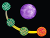 Calcium Carbonate Templates Enable Targeted Drug Delivery
