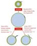 Scientists Explain How Nanomaterials Bend and Break