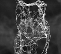 Aerographite - The Worlds Lightest Material