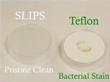 Slippery-Liquid-Infused Porous Surfaces Effectively Prevent Biofilm Formation