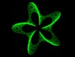 Laser Beams Can Position Molecules in 3D Materials
