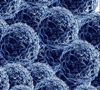 Researchers Examine Electrocatalytic Activity of Platinum Nanoparticles